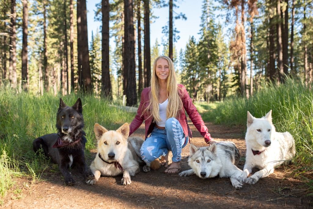 Trainer with four well-trained dogs resting calmly on a forest trail